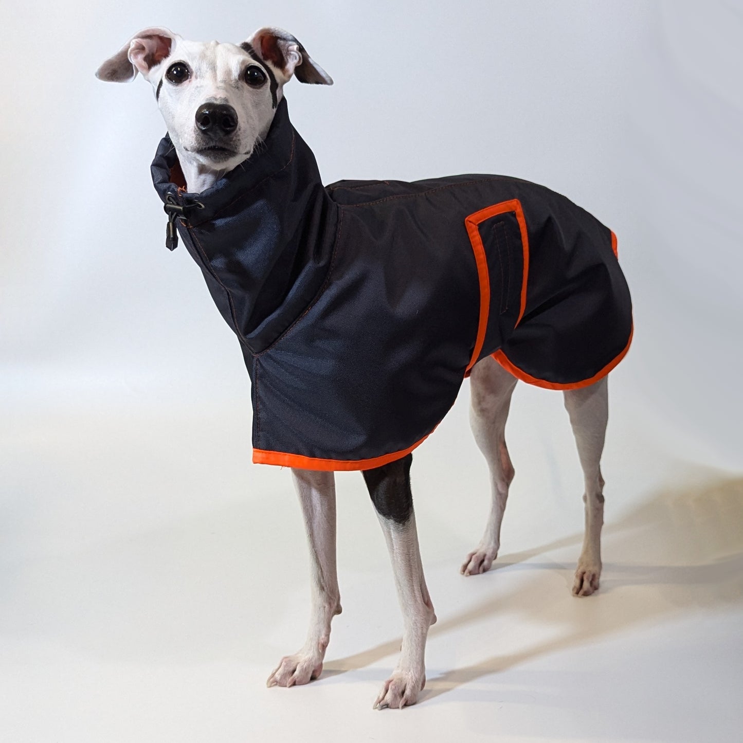 Whippet | Waterproof Coat - Tempest Blue/Orange