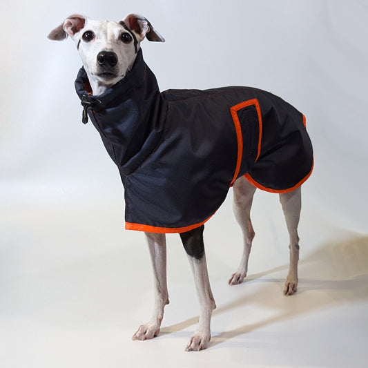 Italian Greyhound | Waterproof Coat - Tempest Blue/Orange
