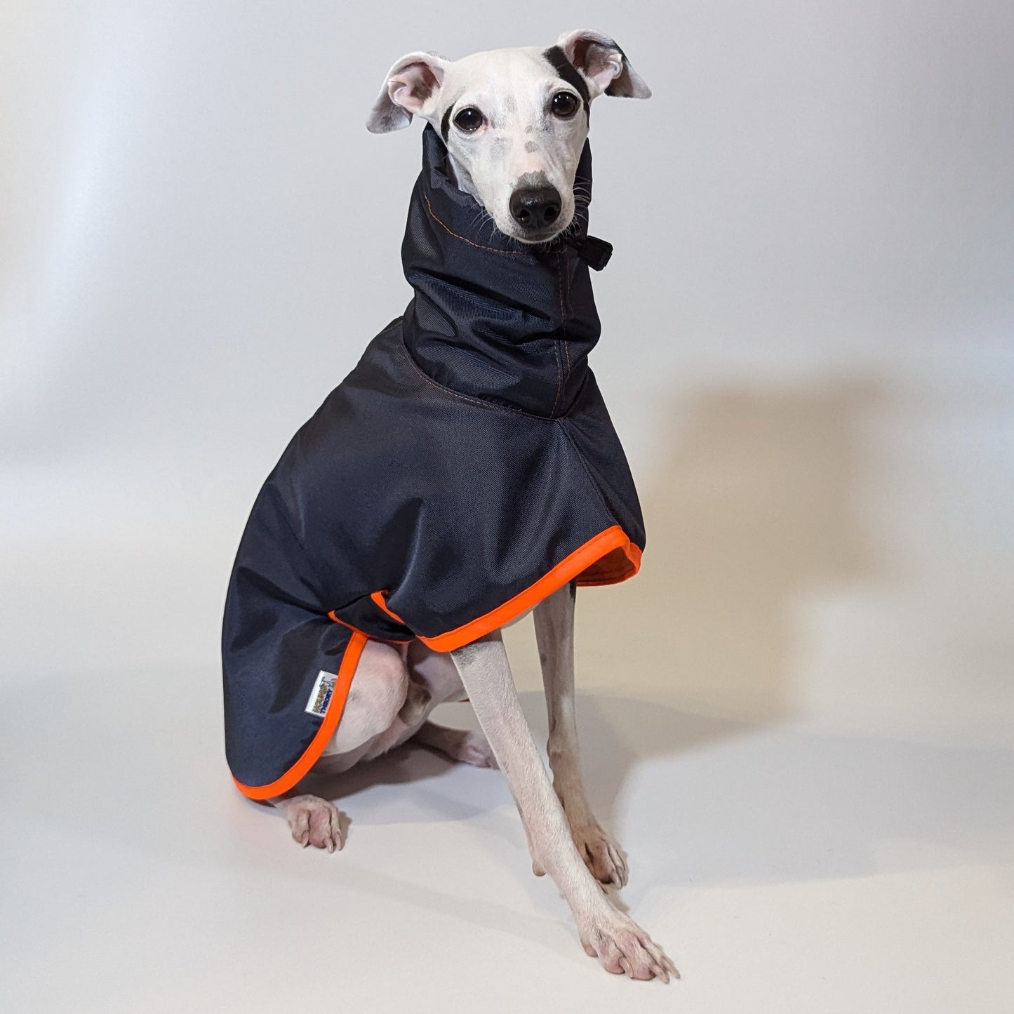 Whippet | Waterproof Coat - Tempest Blue/Orange