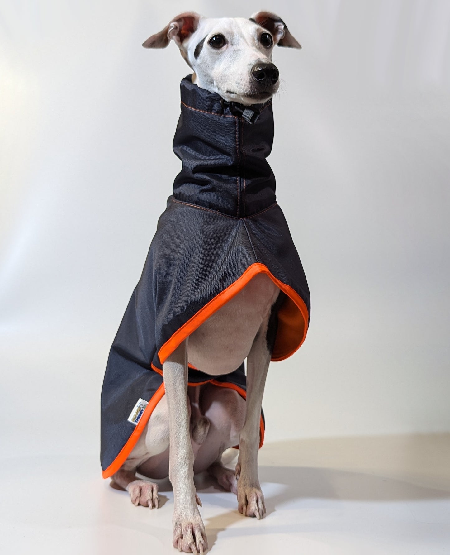 Whippet | Waterproof Coat - Tempest Blue/Orange