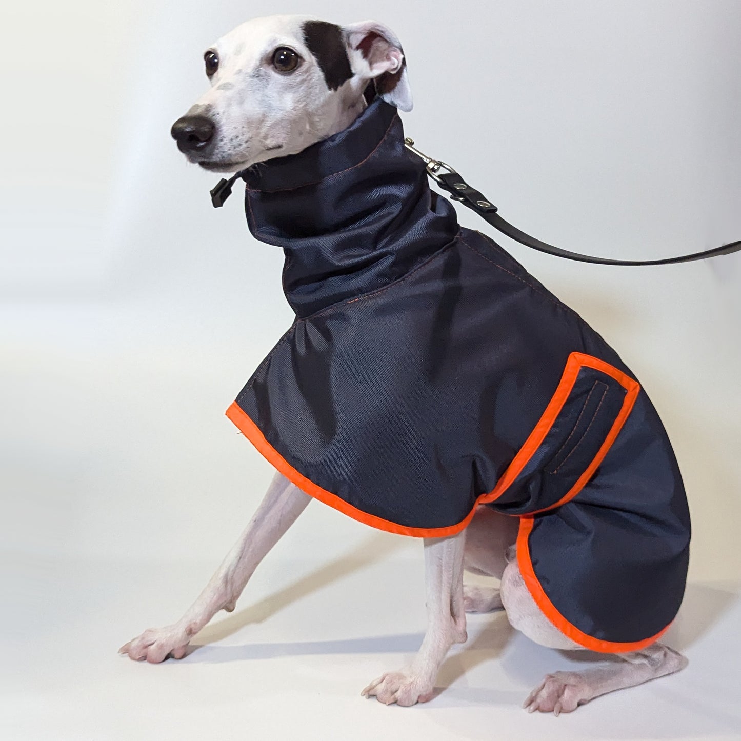 Whippet | Waterproof Coat - Tempest Blue/Orange