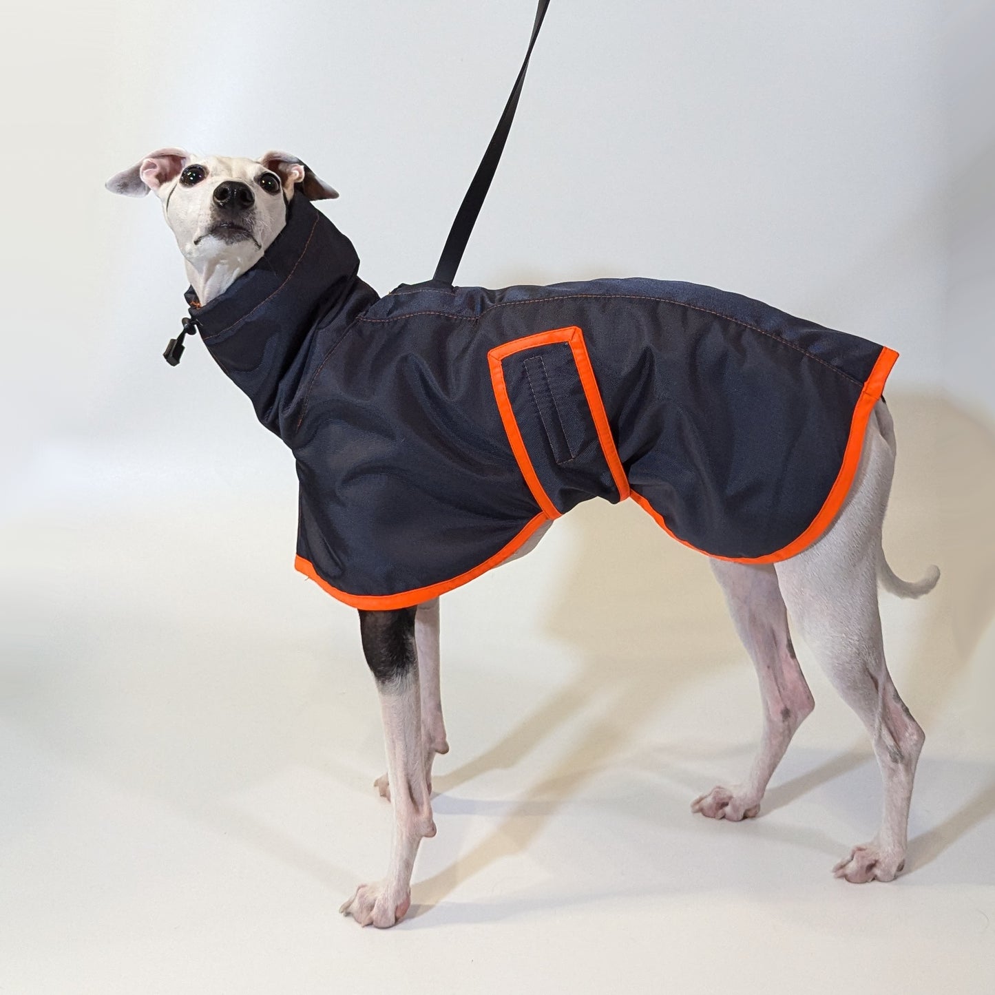 Whippet | Waterproof Coat - Tempest Blue/Orange