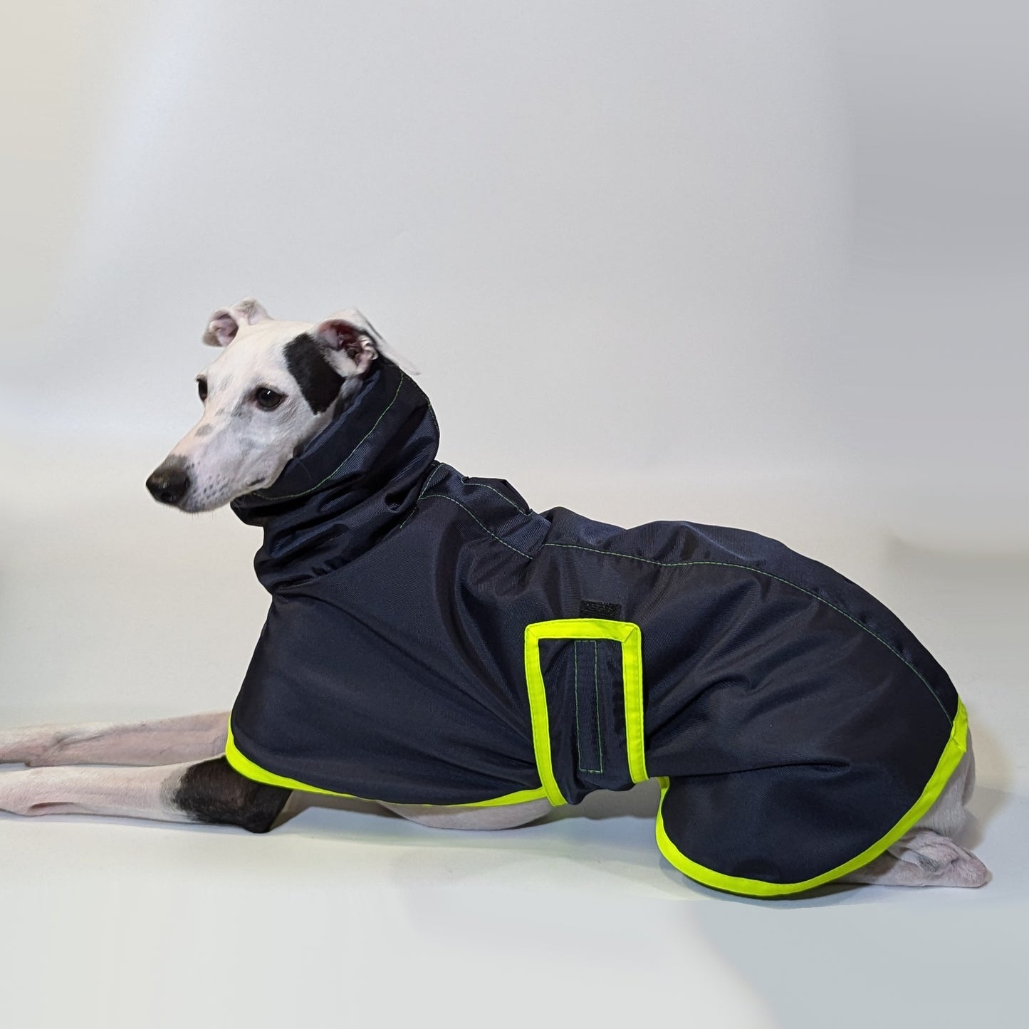 Whippet | Waterproof Coat - Tempest Blue/Lime