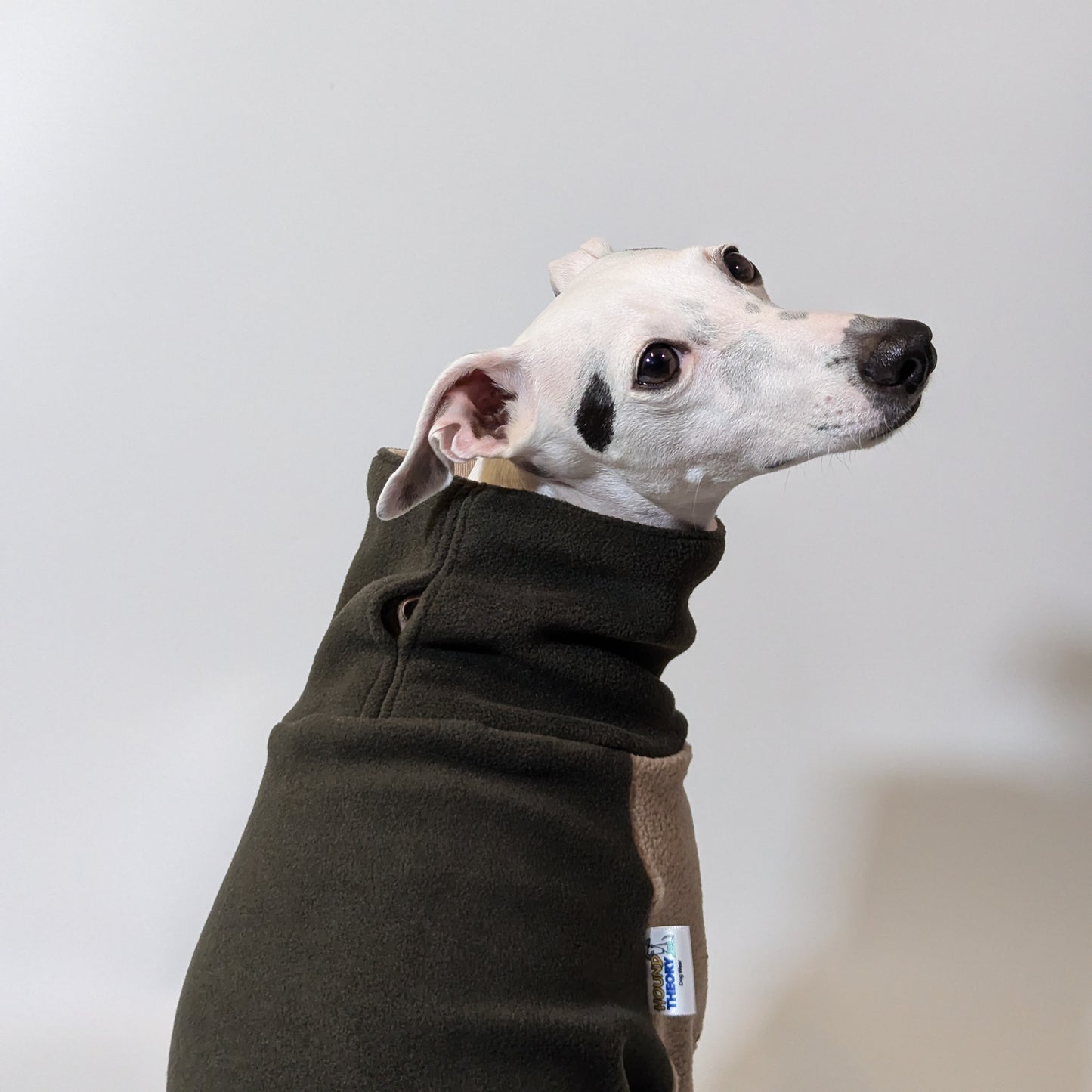 Whippet | Jumpsuit - Loco Green