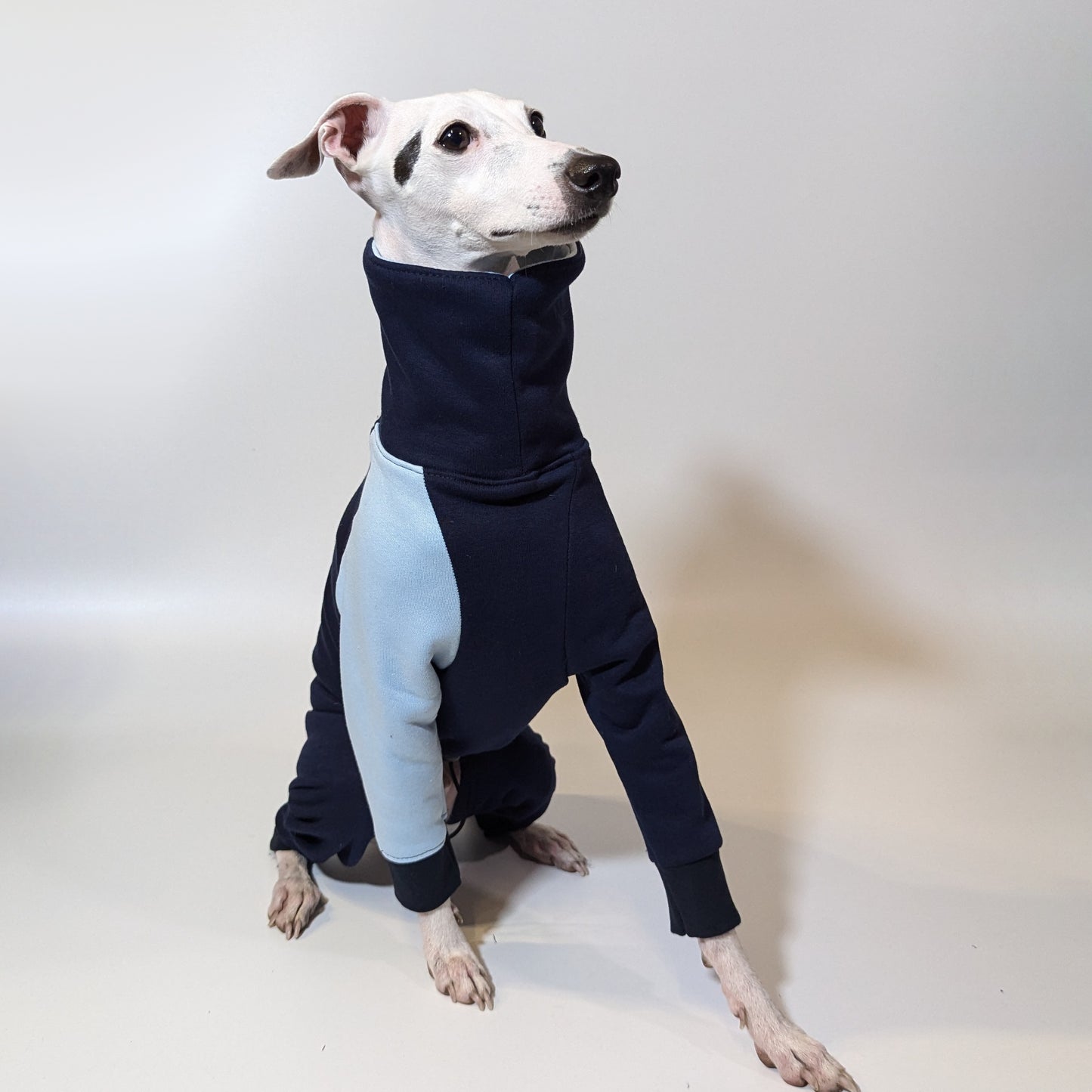 Whippet | Jumpsuit - Loco Blue