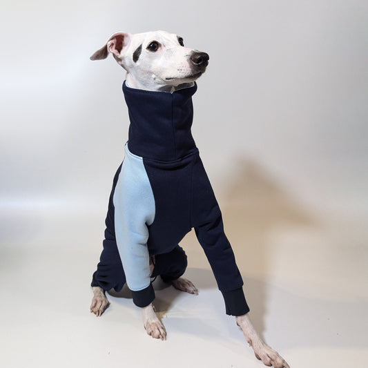 Italian Greyhound | Jumpsuit - Loco Blue