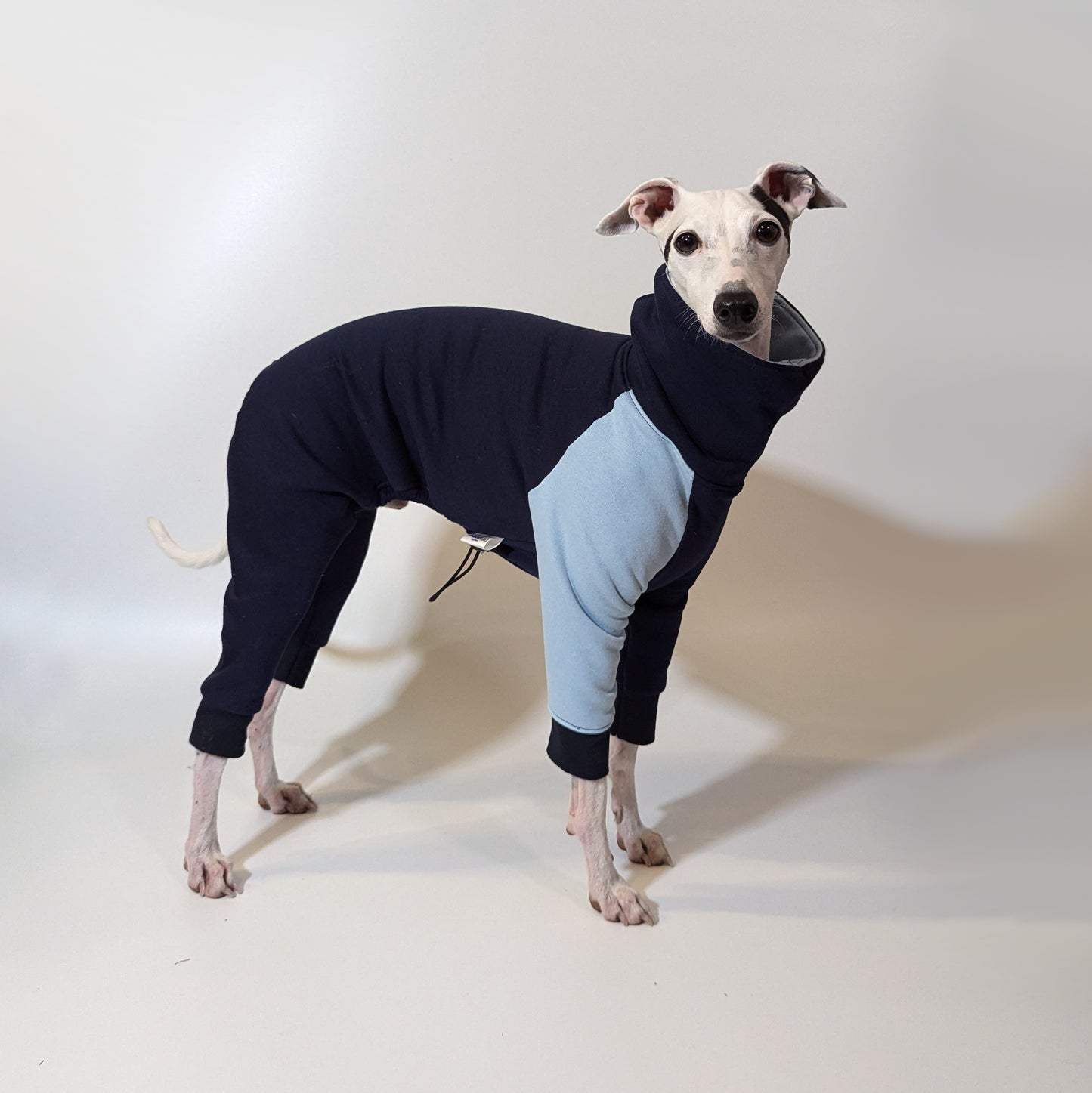 Italian Greyhound | Jumpsuit - Loco Blue