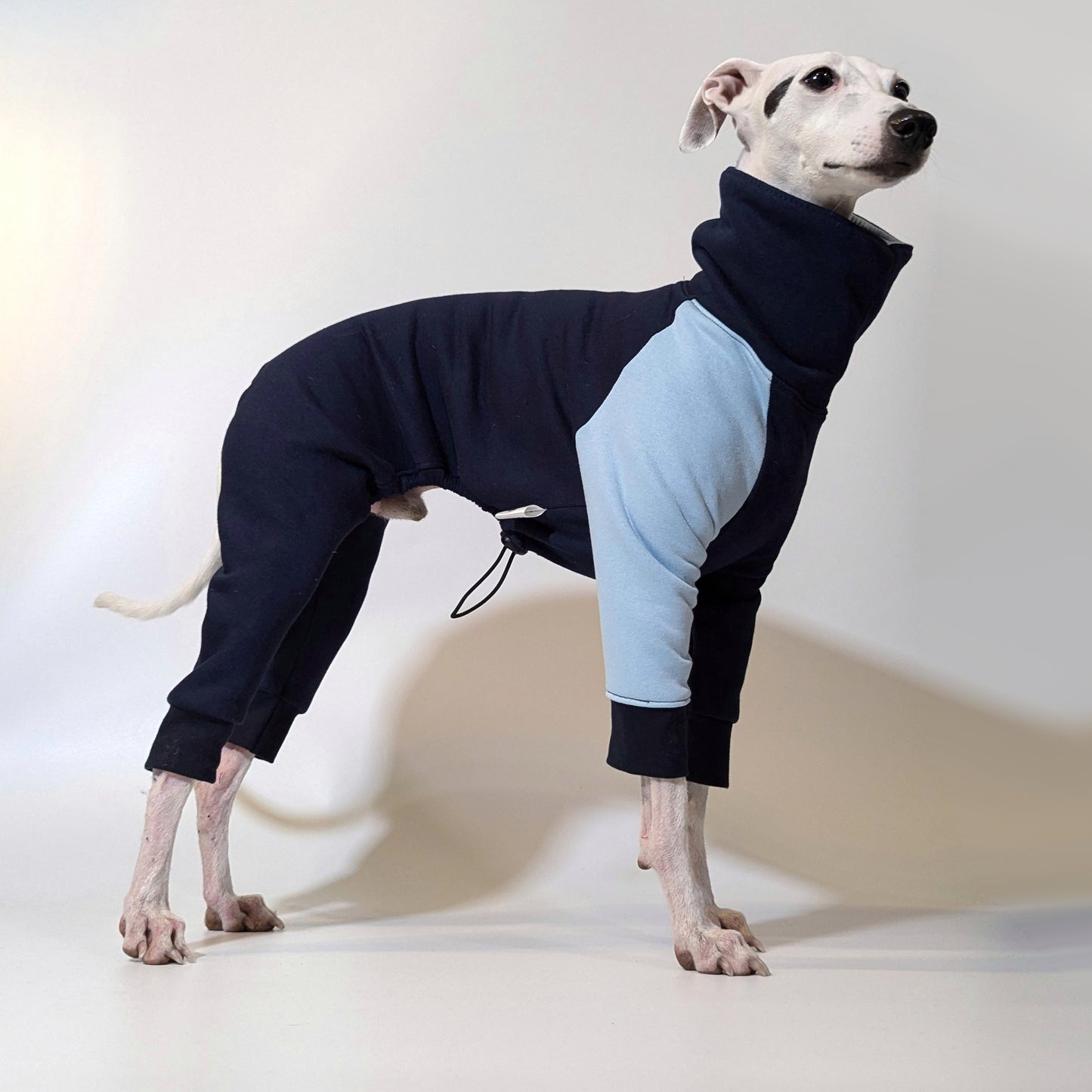 Whippet | Jumpsuit - Loco Blue