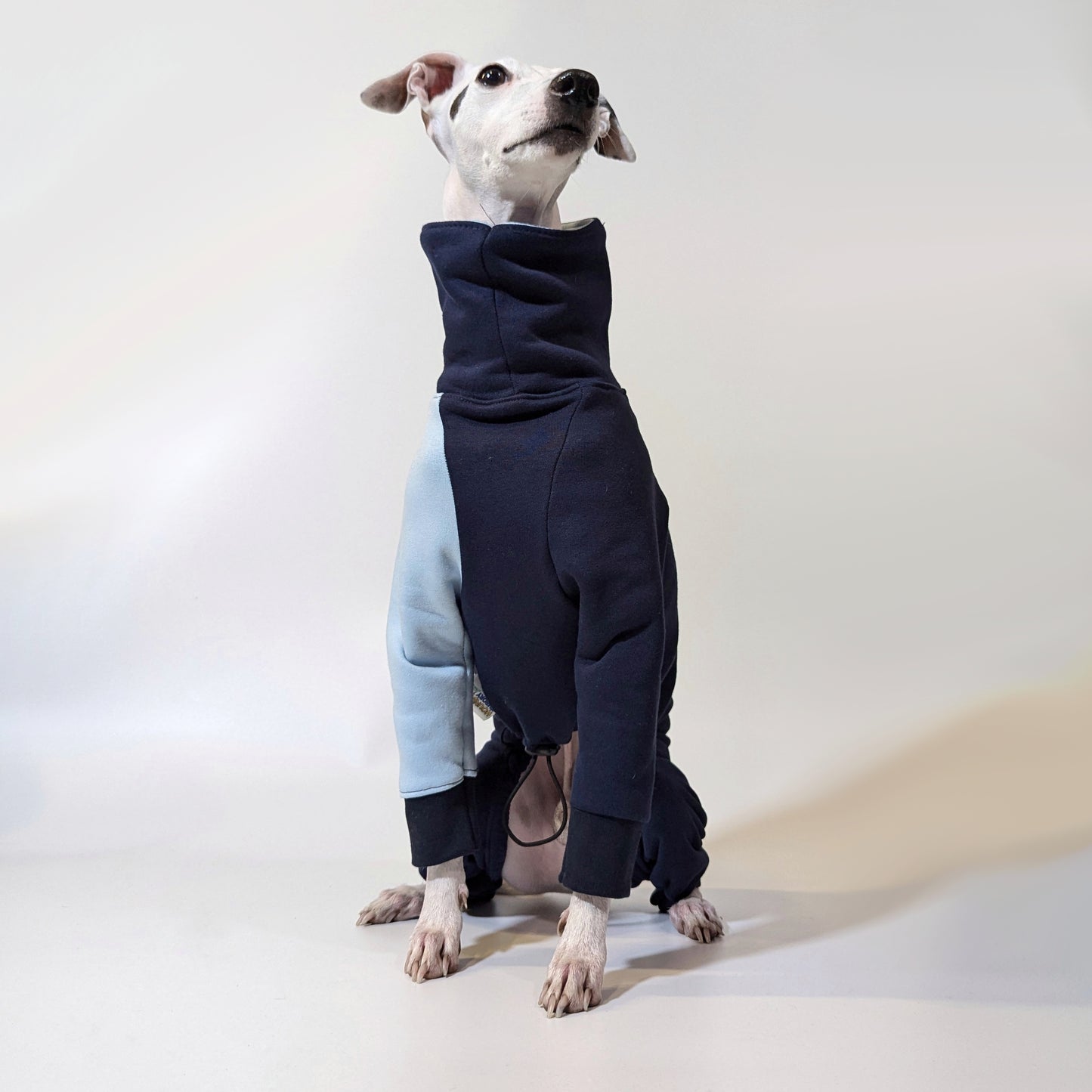 Whippet | Jumpsuit - Loco Blue