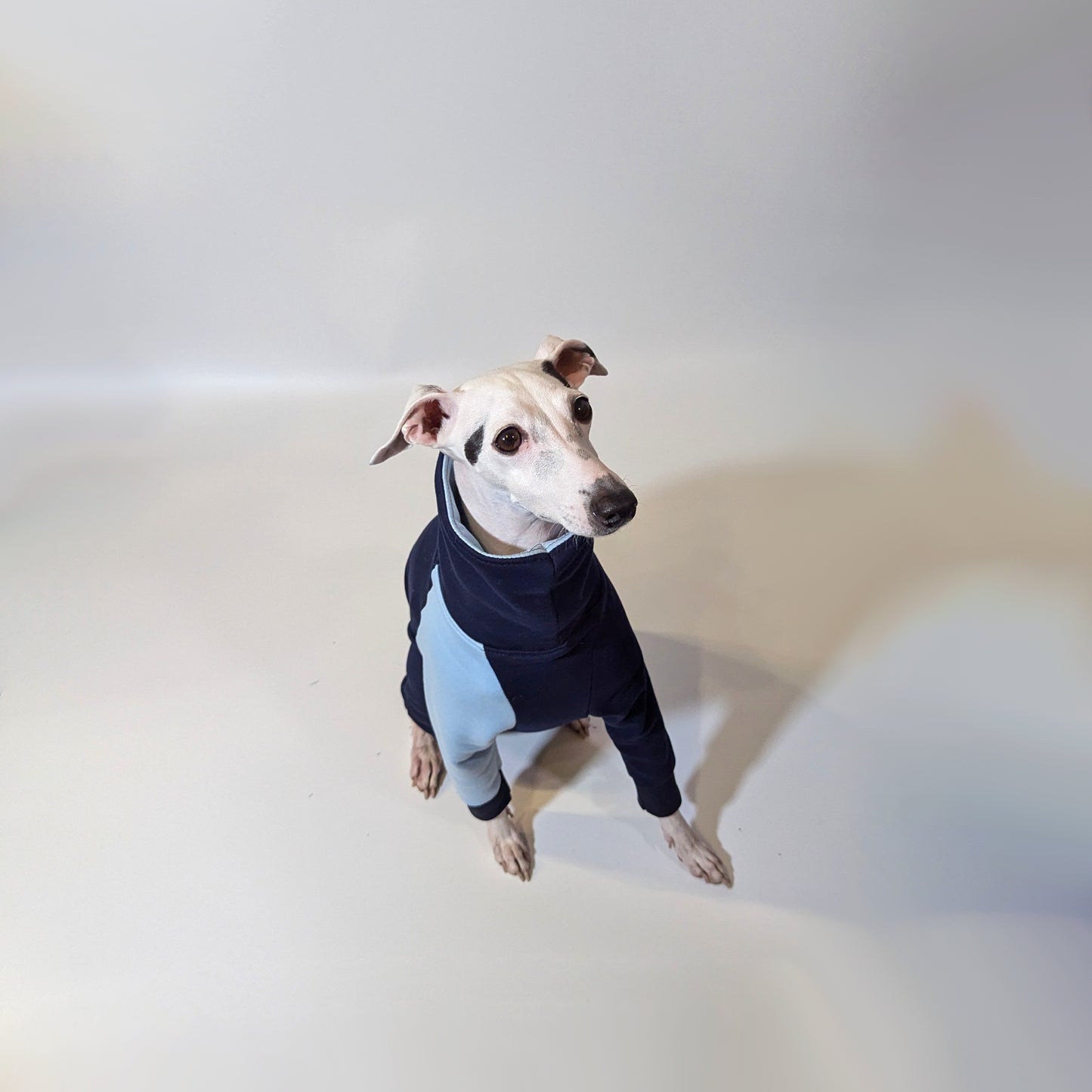 Whippet | Jumpsuit - Loco Blue