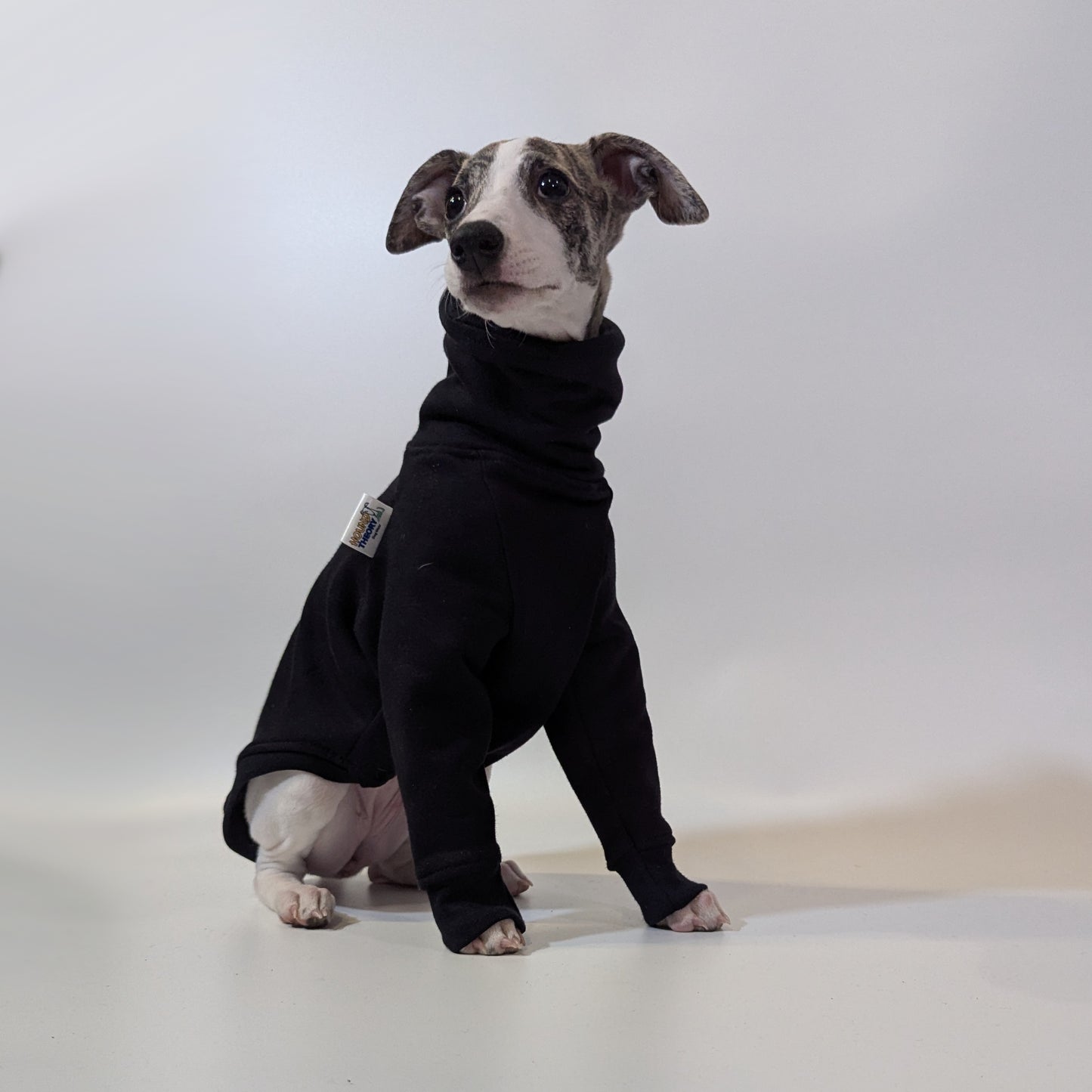 Italian Greyhound | Sweater - Raptor Black