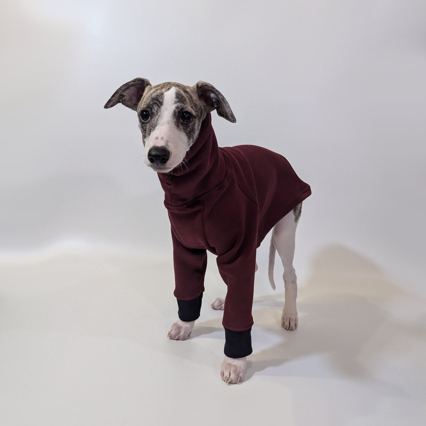 Italian Greyhound | Sweater - Raptor Red