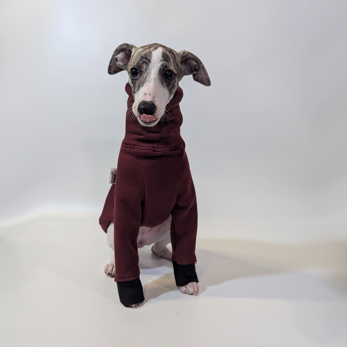 Italian Greyhound | Sweater - Raptor Red