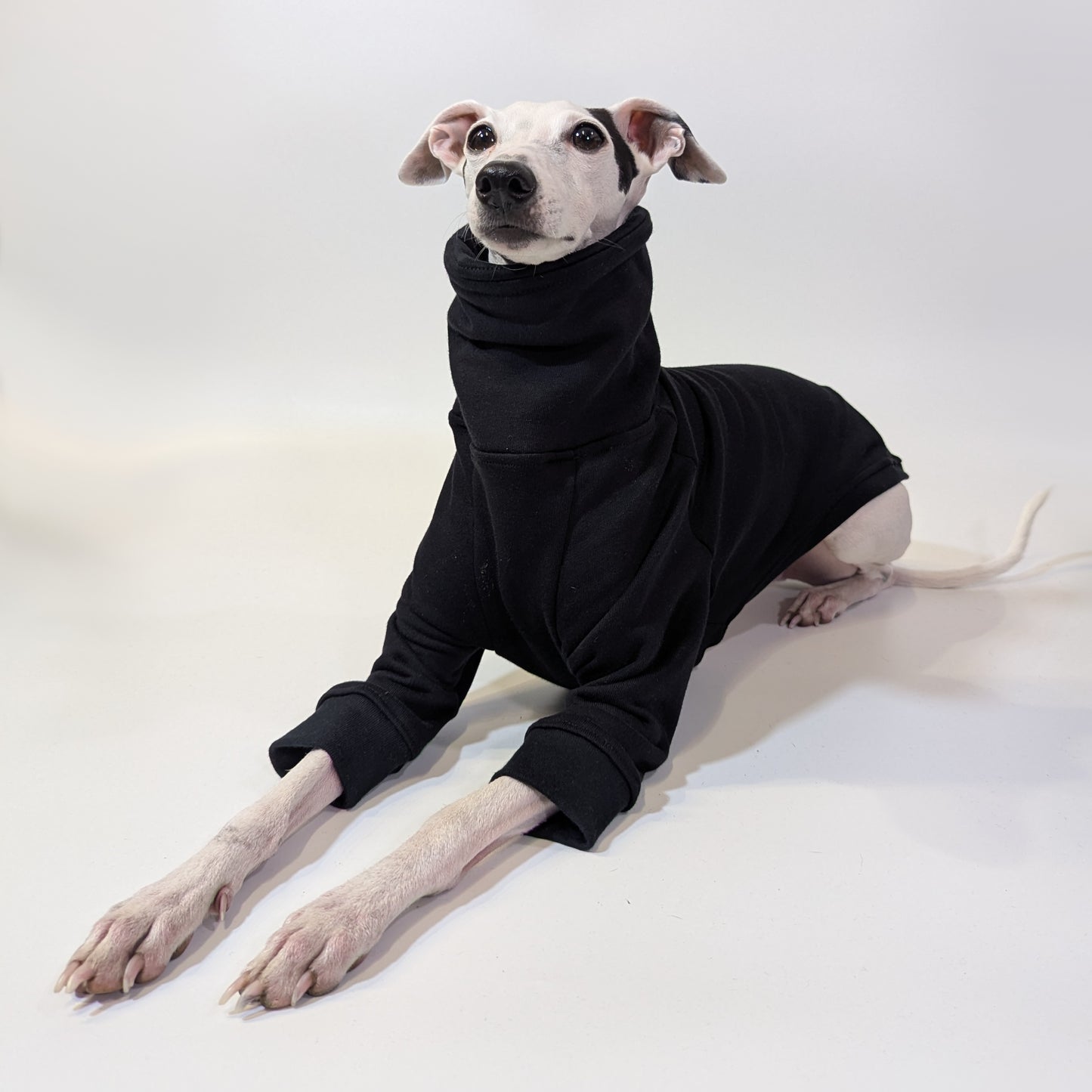 Italian Greyhound | Sweater - Raptor Black