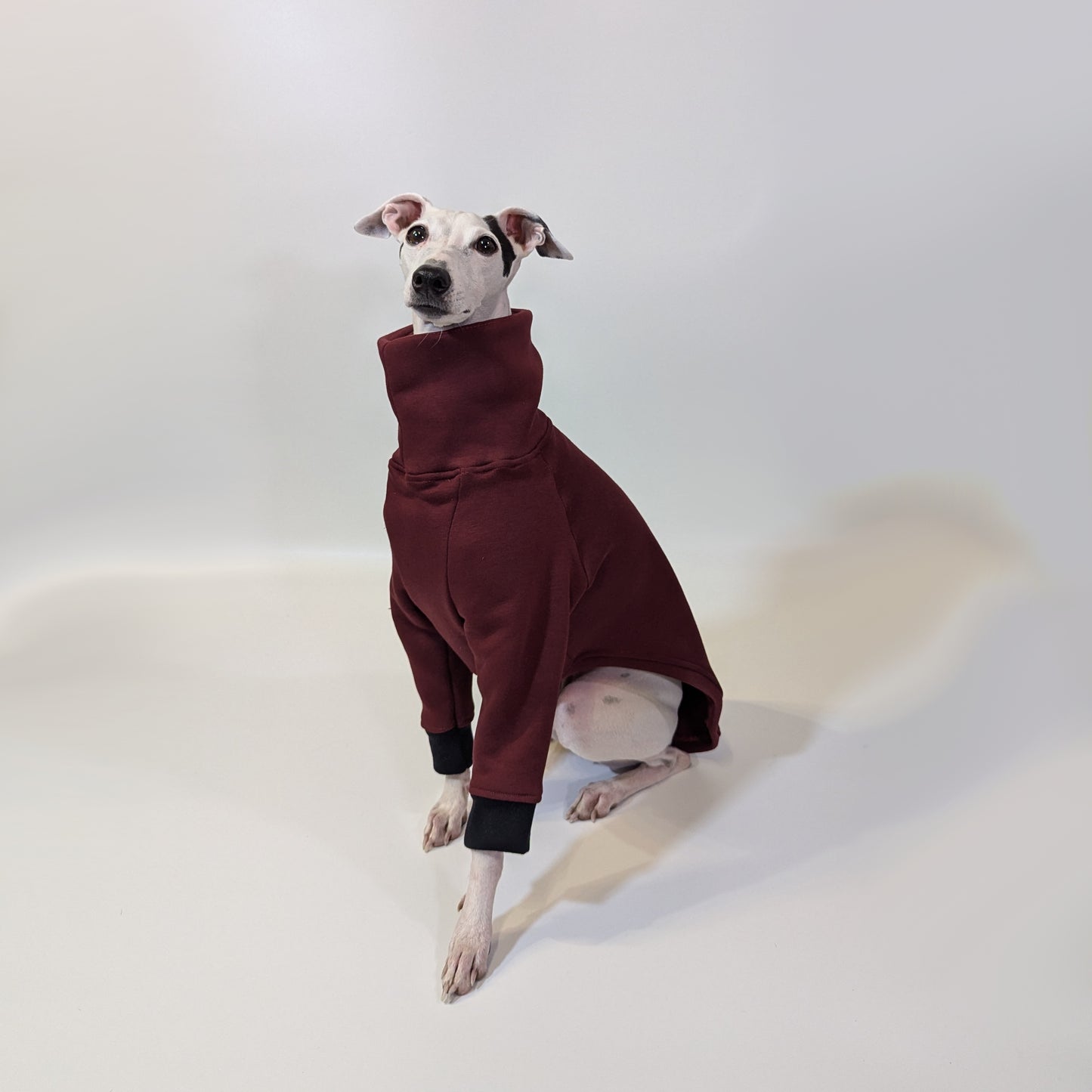 Italian Greyhound | Sweater - Raptor Red