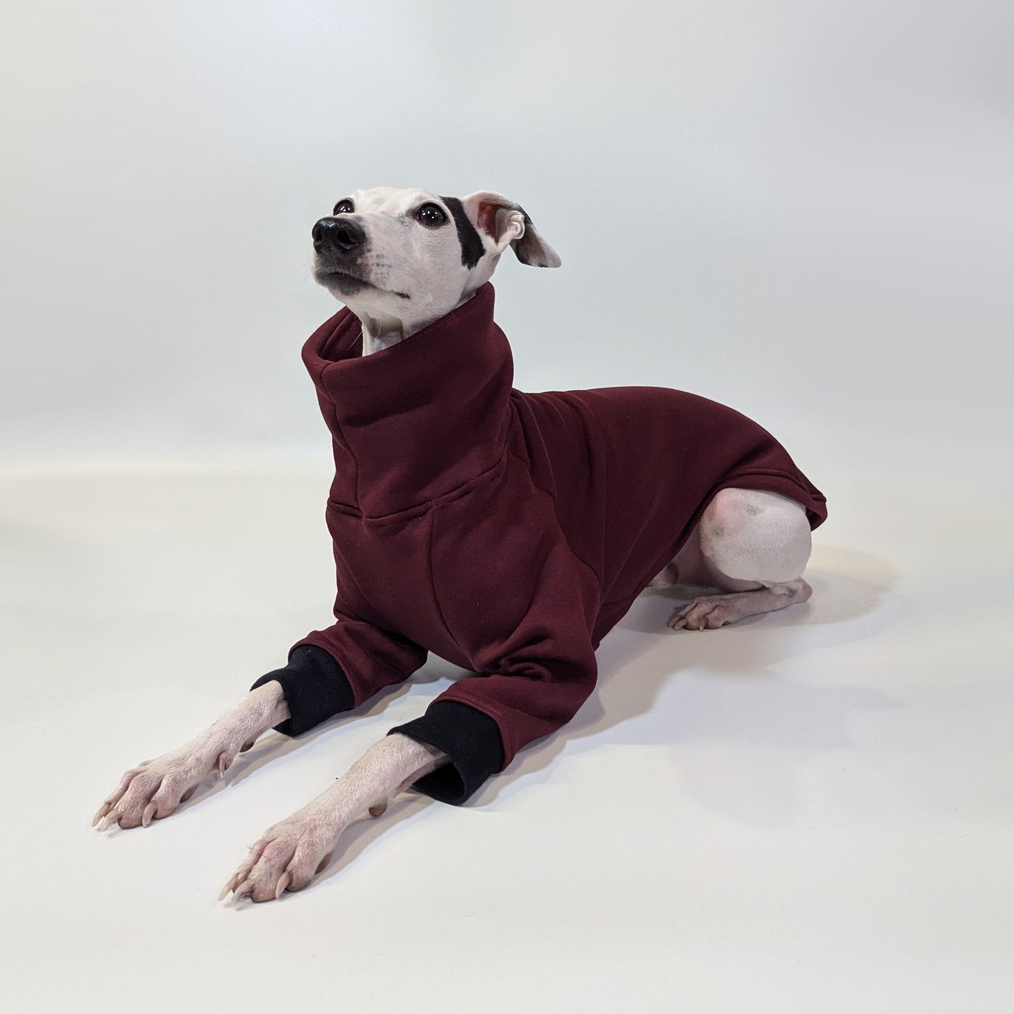 Italian Greyhound | Sweater - Raptor Red