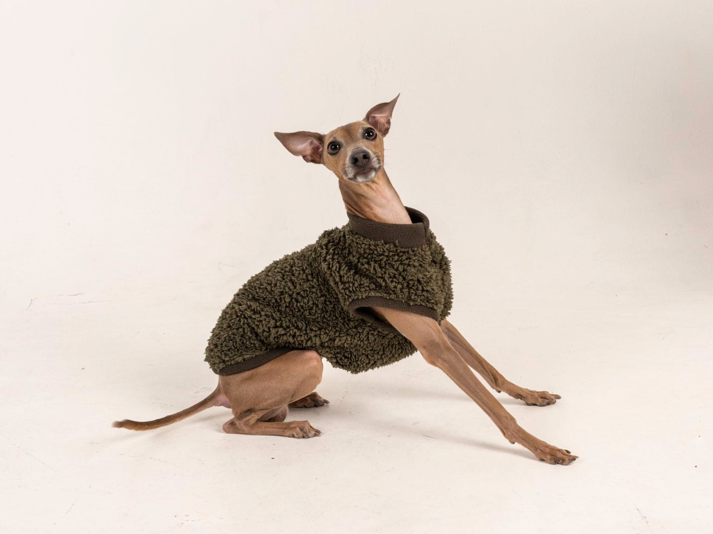 vest kutyaruha melleny italian greyhound whippet kis olasz agar