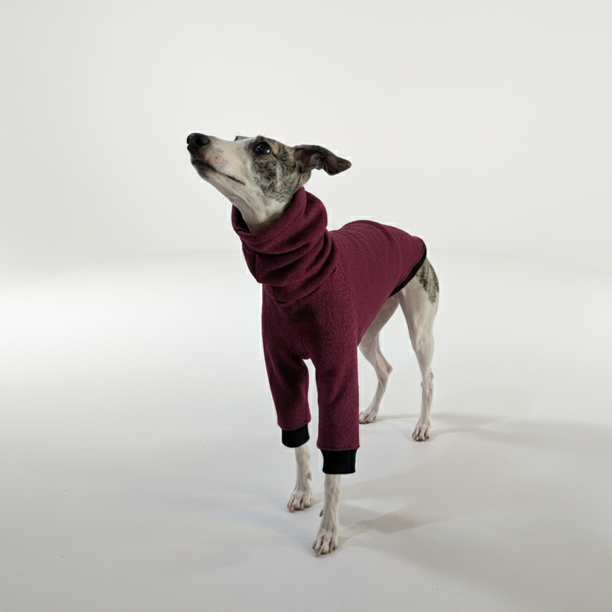 Pulcsi | Kis Olasz, Whippet, Agarak