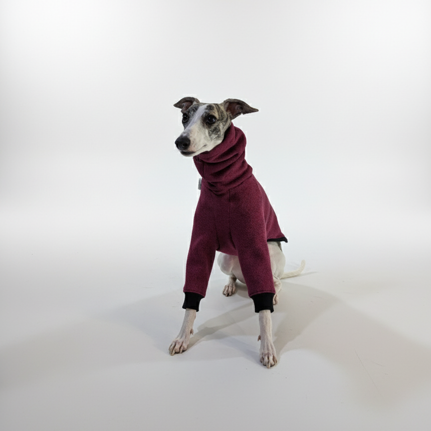 Pulcsi | Kis Olasz, Whippet, Agarak