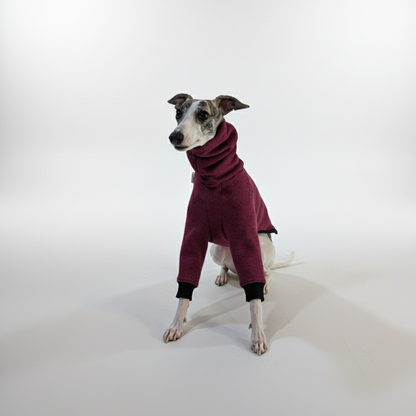 Pulcsi | Kis Olasz, Whippet, Agarak