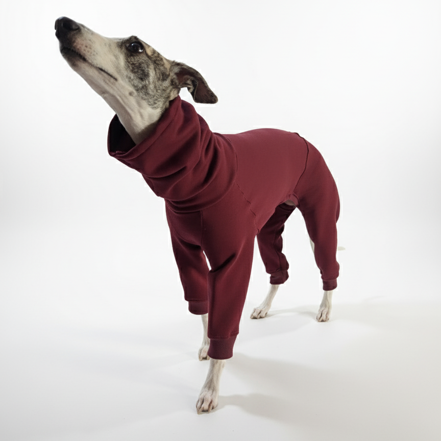 Kezeslábasok | Kis Olasz, Whippet, Agarak