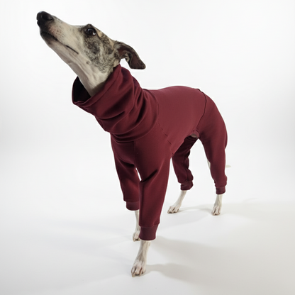 Kezeslábasok | Kis Olasz, Whippet, Agarak