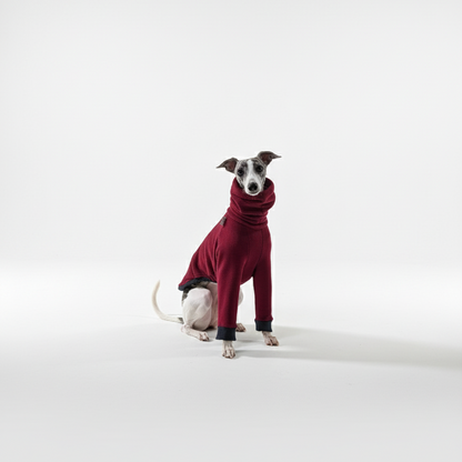 Pulcsi | Kis Olasz, Whippet, Agarak