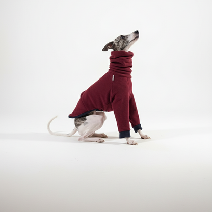 Pulcsi | Kis Olasz, Whippet, Agarak