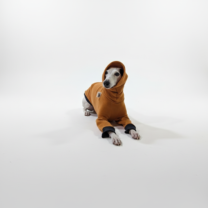 Pulcsi | Kis Olasz, Whippet, Agarak