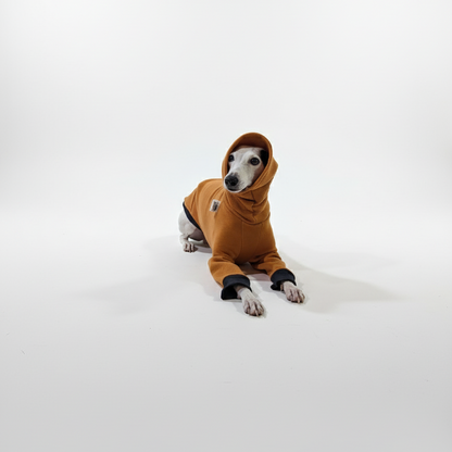 Pulcsi | Kis Olasz, Whippet, Agarak