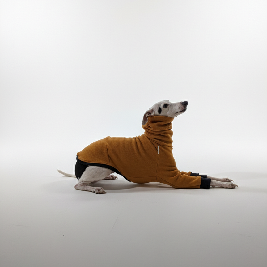 Pulcsi | Kis Olasz, Whippet, Agarak