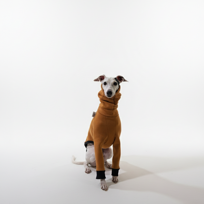 Pulcsi | Kis Olasz, Whippet, Agarak