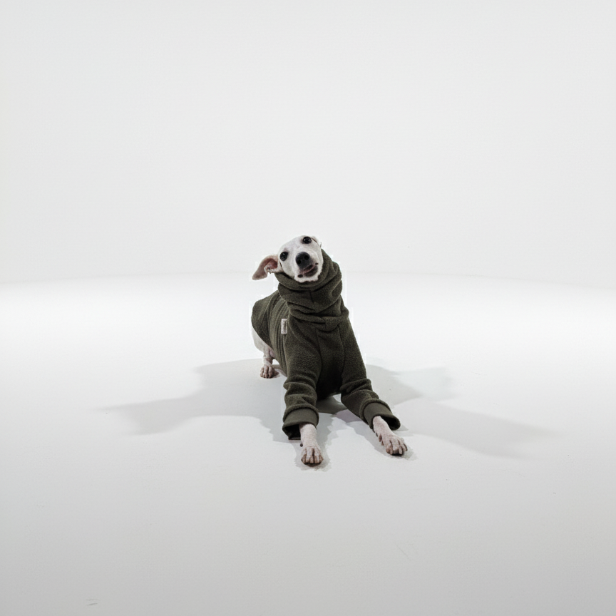 Pulcsi | Kis Olasz, Whippet, Agarak