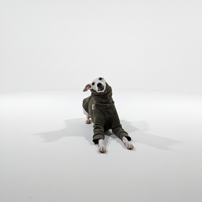 Pulcsi | Kis Olasz, Whippet, Agarak