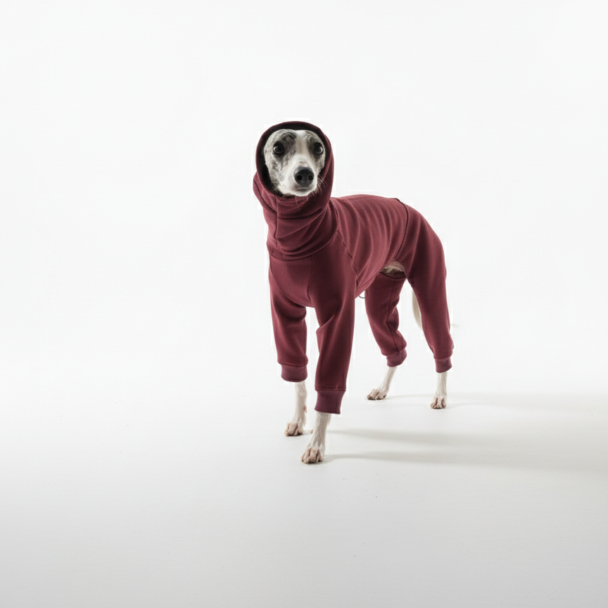 Kezeslábasok | Kis Olasz, Whippet, Agarak