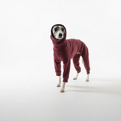 Kezeslábasok | Kis Olasz, Whippet, Agarak