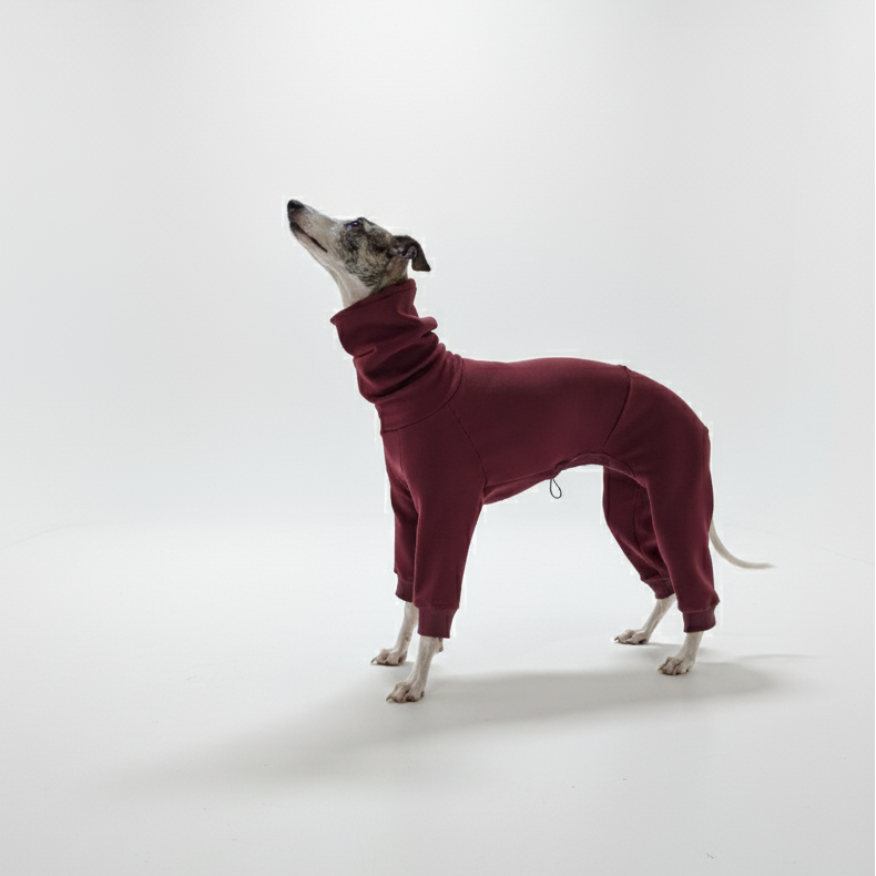 Kezeslábasok | Kis Olasz, Whippet, Agarak