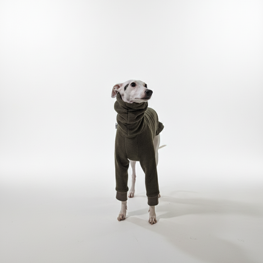 Pulcsi | Kis Olasz, Whippet, Agarak