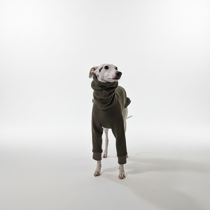 Pulcsi | Kis Olasz, Whippet, Agarak