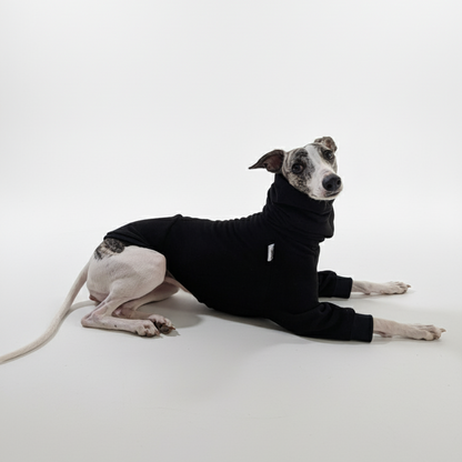 Pulcsi | Kis Olasz, Whippet, Agarak