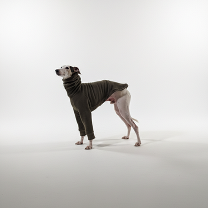 Pulcsi | Kis Olasz, Whippet, Agarak