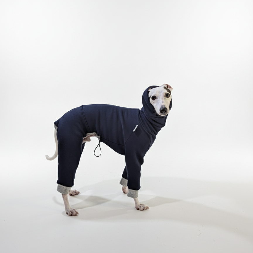 Kezeslábasok | Kis Olasz, Whippet, Agarak