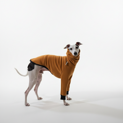 Pulcsi | Kis Olasz, Whippet, Agarak