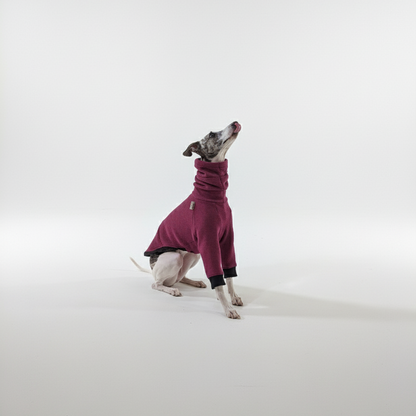 Pulcsi | Kis Olasz, Whippet, Agarak