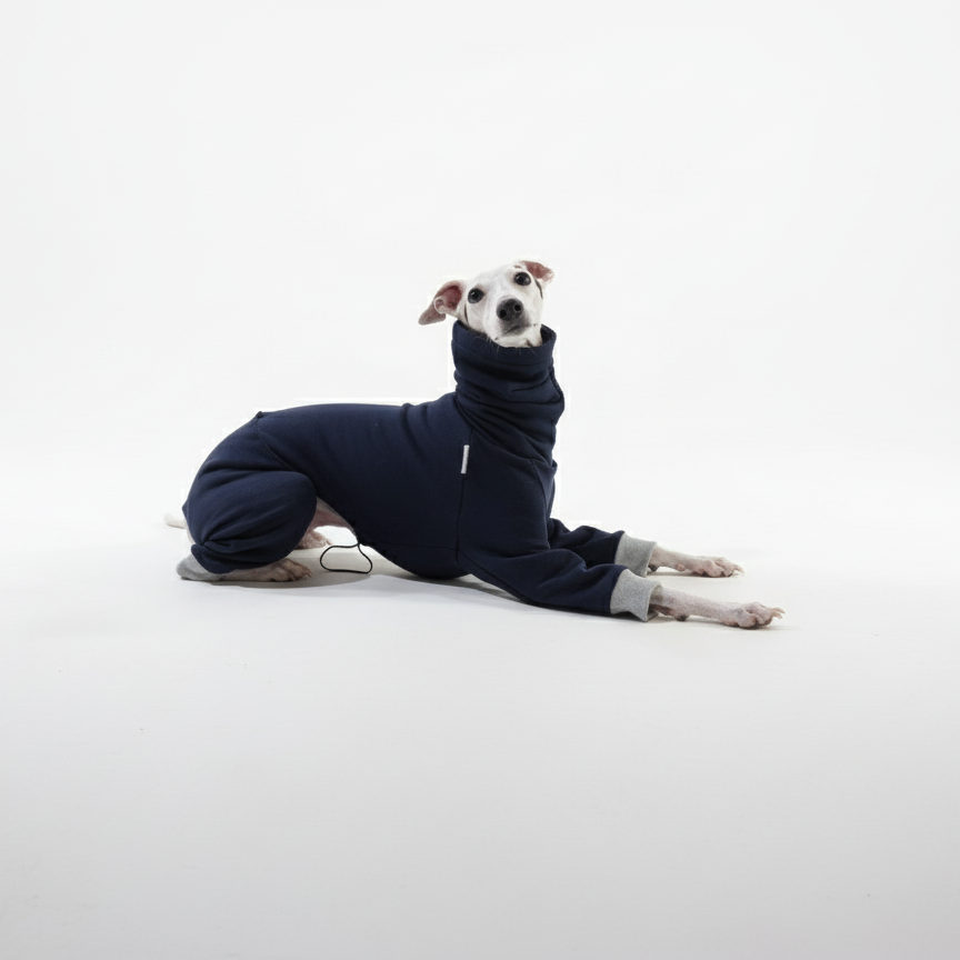 Kezeslábasok | Kis Olasz, Whippet, Agarak