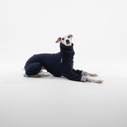 Kezeslábasok | Kis Olasz, Whippet, Agarak