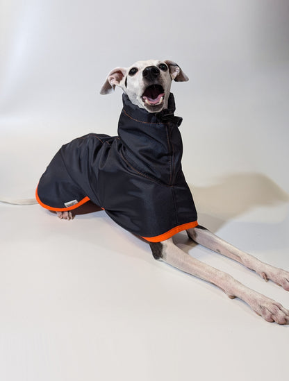 Whippet | Waterproof Coat - Tempest Blue/Orange