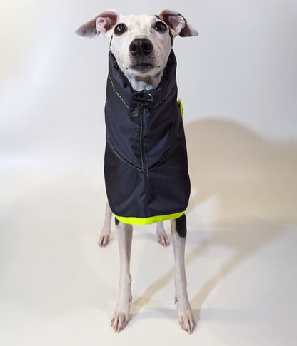 Whippet | Waterproof Coat - Tempest Blue/Lime
