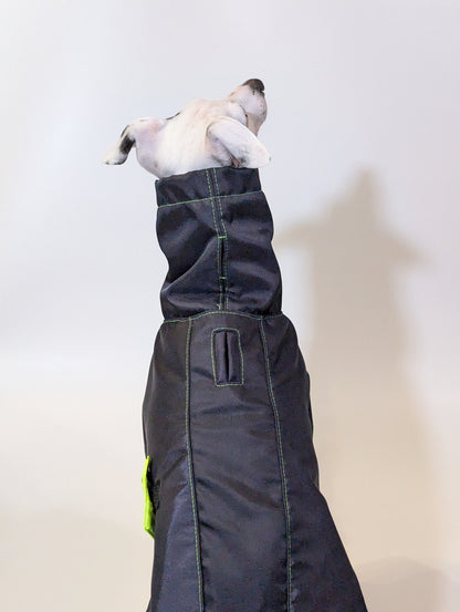 Whippet | Waterproof Coat - Tempest Blue/Lime