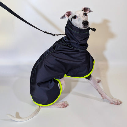 Whippet | Waterproof Coat - Tempest Blue/Lime